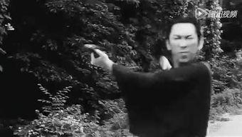 中野七禇在线视频,揭秘神秘力量与奇幻冒险之旅