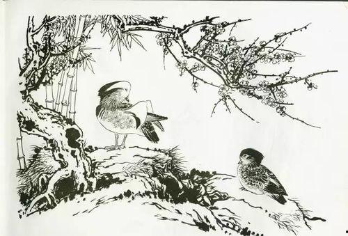 国画小鸟的画法在线视频,轻松掌握传统花鸟画技巧