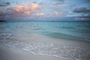 太阳岛在线视频,探寻自然之美，感受生活魅力