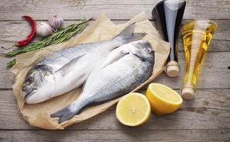 暗暗干粉鱼在线视频,揭秘神秘水下生物的生存智慧