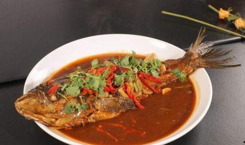 暗暗干粉鱼在线视频,揭秘神秘水下生物的生存智慧