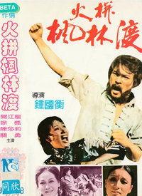 枫林在线视频毛片,揭秘网络色情内容的阴暗面