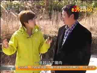 温柔调教在线视频,解锁情感沟通的艺术