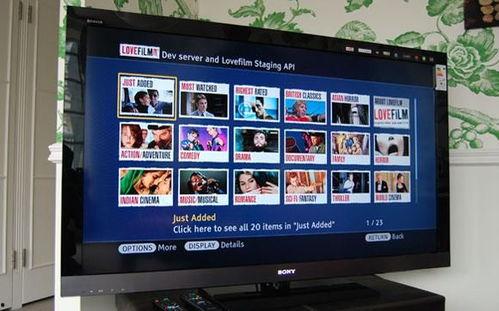 成人无码导航在线视频