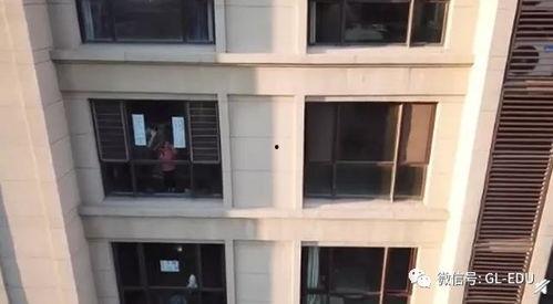 邻居的窗在线视频,揭秘邻居窗内温馨瞬间