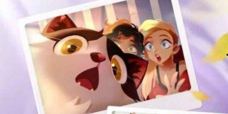 埃及猫跳舞在线视频,网络视频引热议