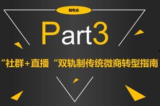 99人成视频在线视频
