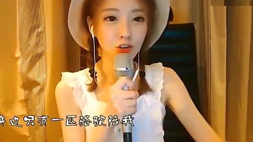 网红演绎 在线视频
