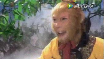 八色八戒在线视频,探寻奇幻世界中的八种色彩与智慧