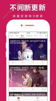 西西www在线视频  第3张