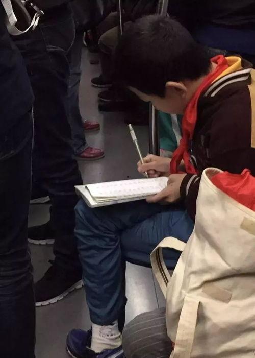 中国小鲜肉gv在线视频,GV视频背后的故事