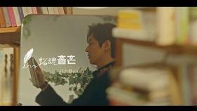 招魂朗读在线视频,惊悚悬疑，心灵震撼的恐怖之夜  第2张